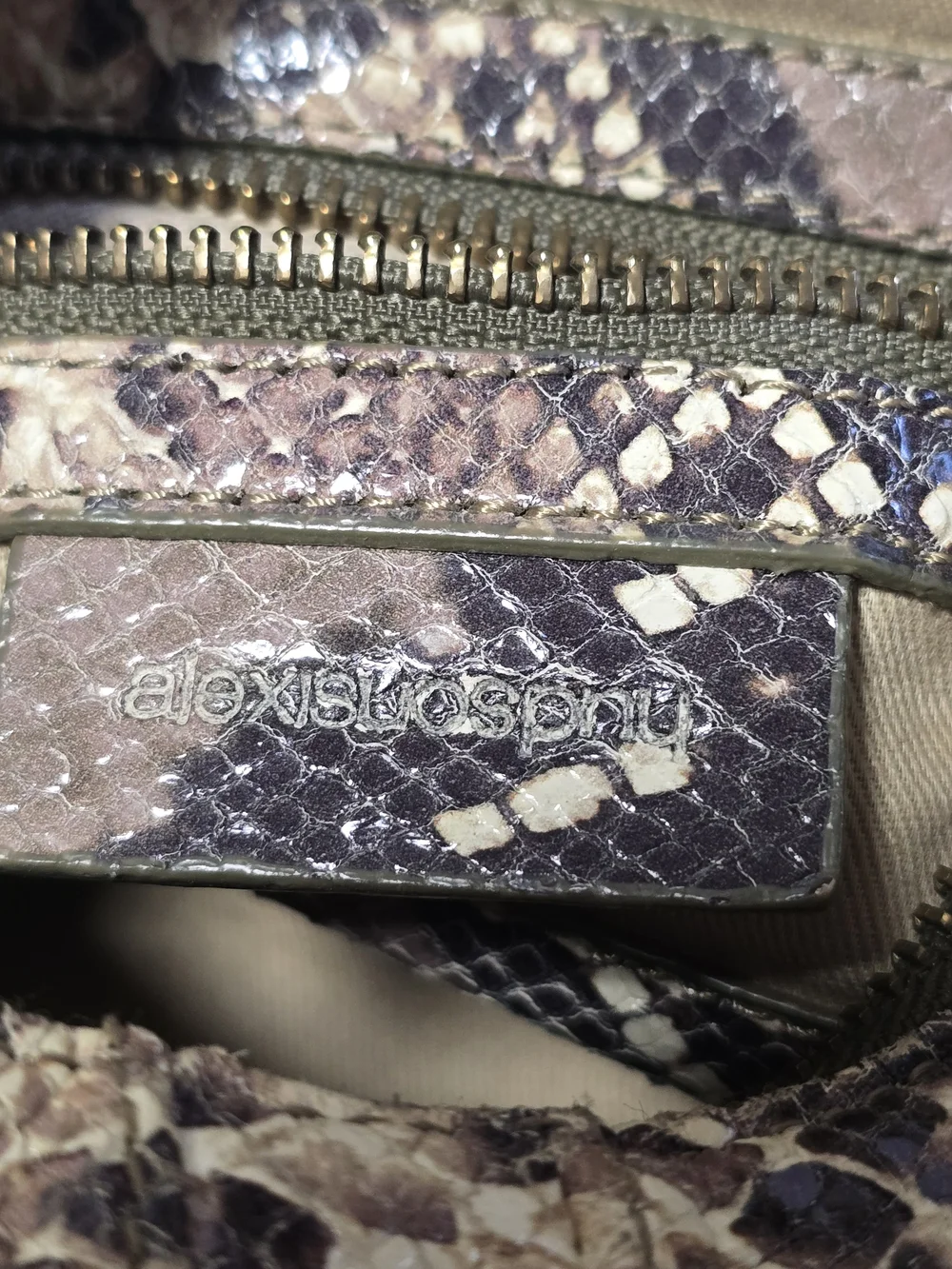 Alexis Hudson stylish snake